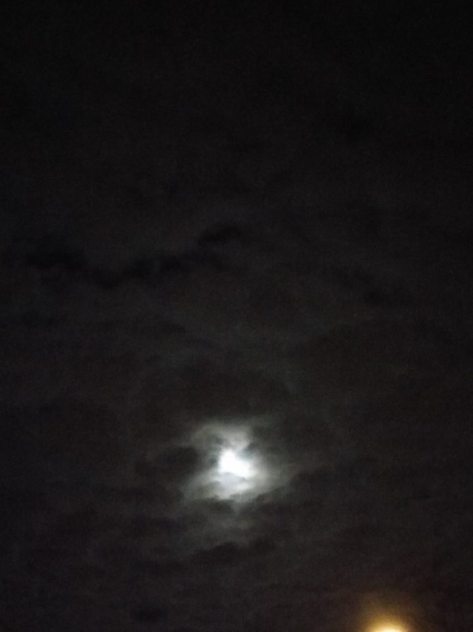 12742844_10154060423823128_7084941959373216862_n