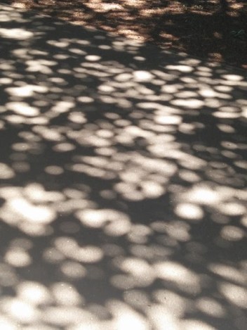 © 2017 Pippa Virdee