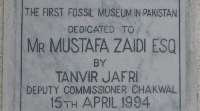 The first fossil museum in Pakistan