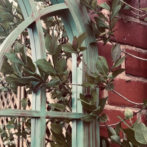 Embracing Nostalgia Through Music and Gardening